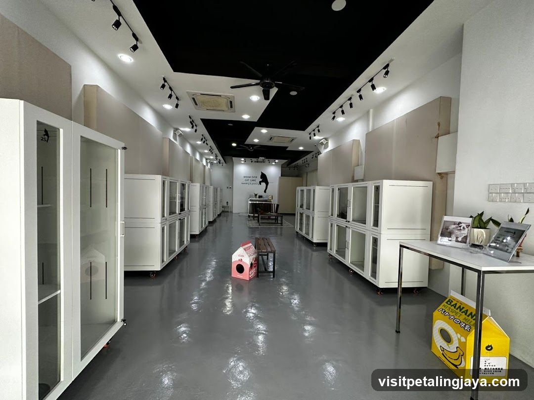 Cat Boarding Facility