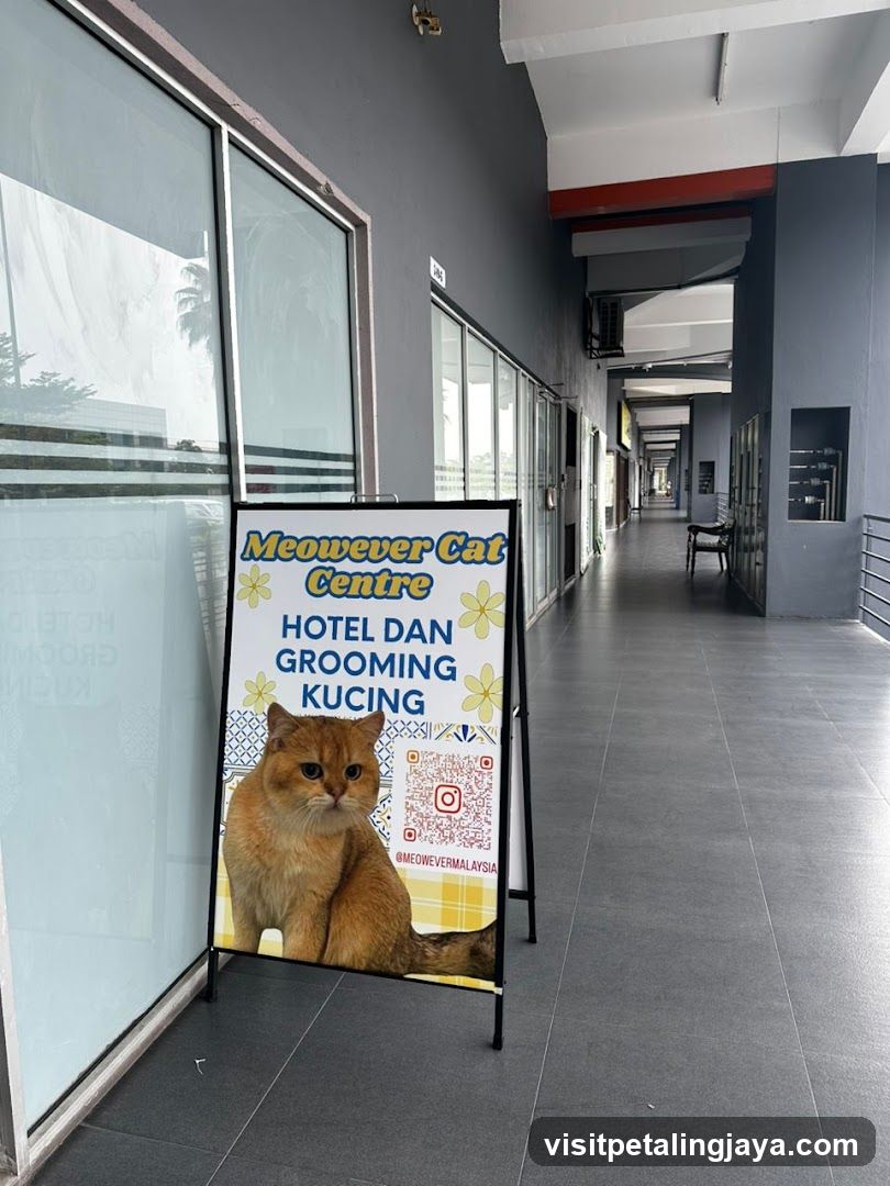 Meowever Cat Centre Sign