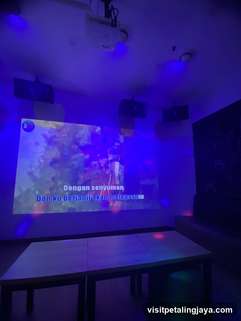 Karaoke Room