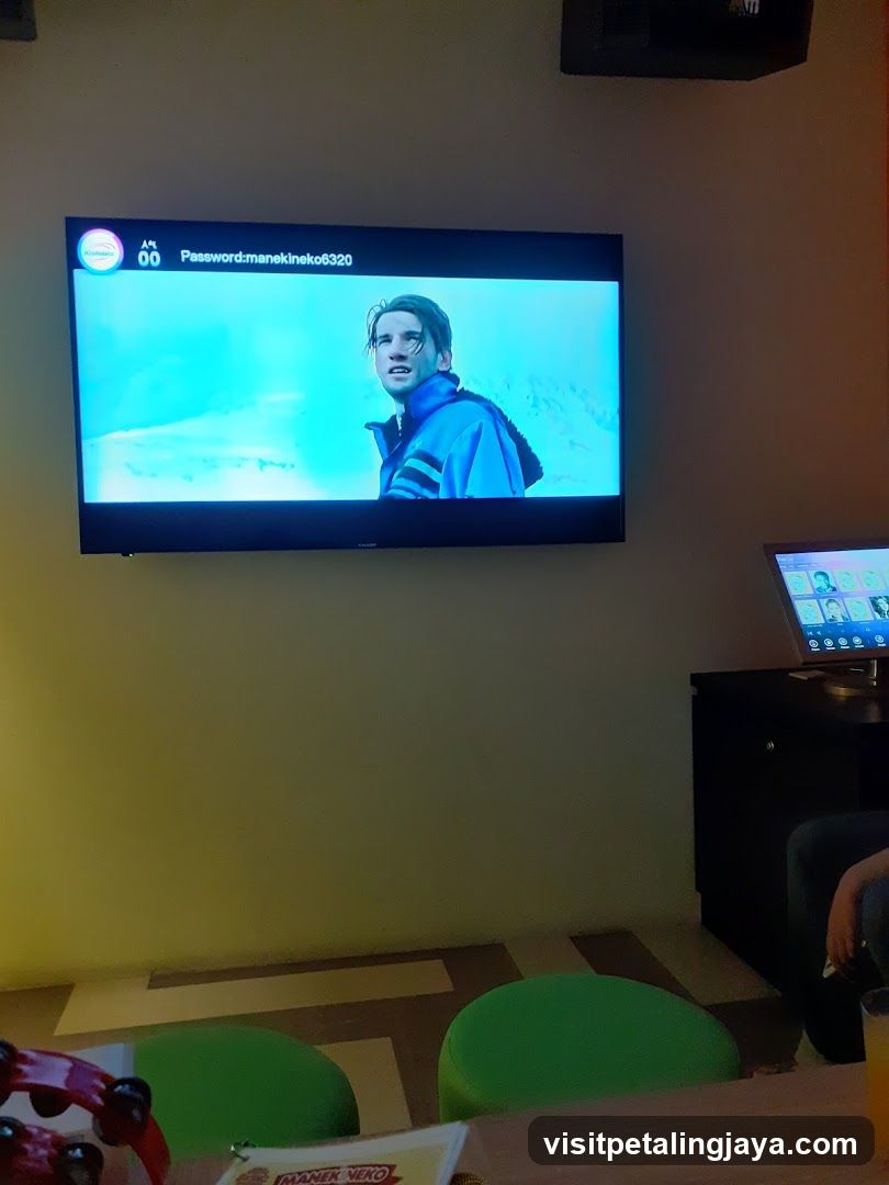 Karaoke Screen and Seating