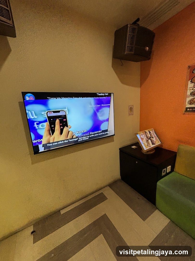 Karaoke Room Entertainment