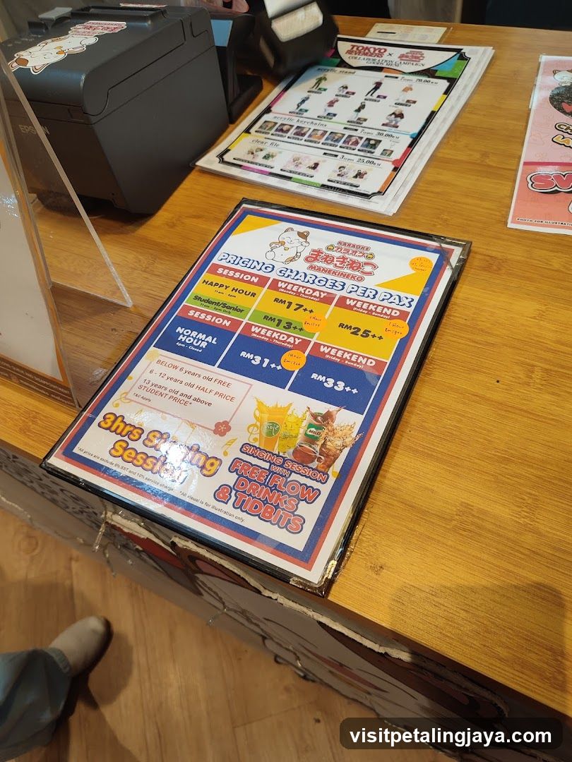 Manekineko Karaoke Pricing