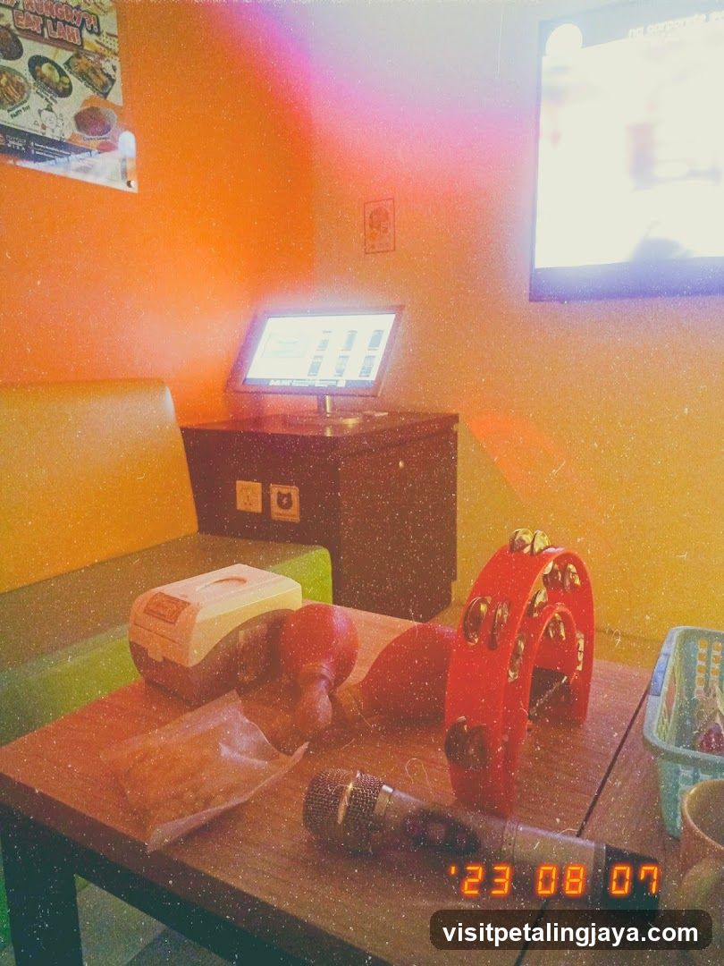 Karaoke Room Setup