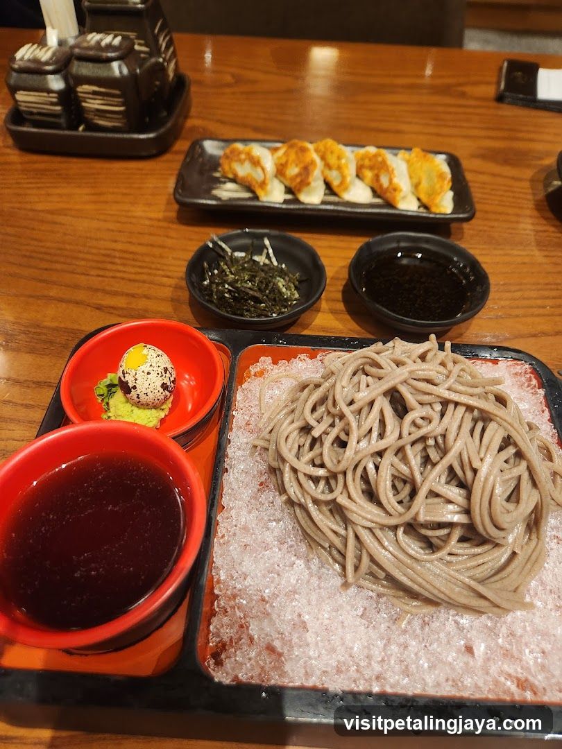 Soba Noodles with Gyoza