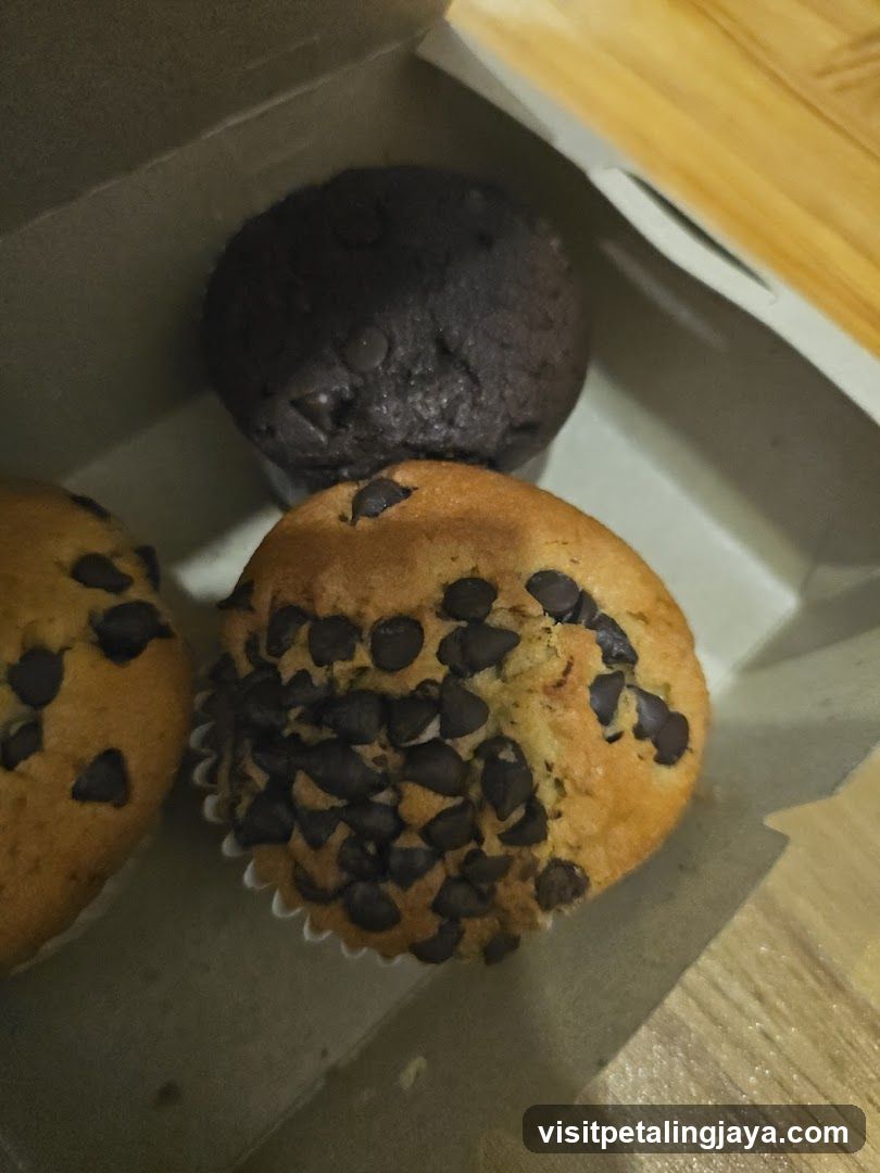 Chocolate Chip Muffins