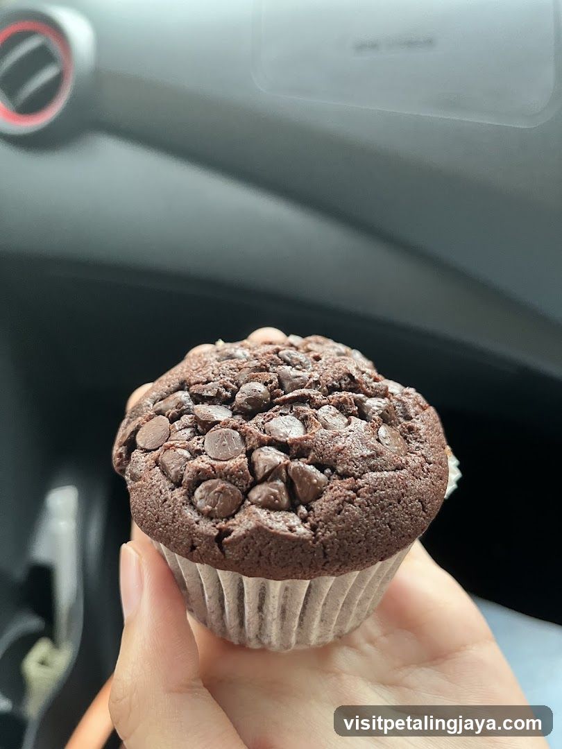 Chocolate Chip Muffin