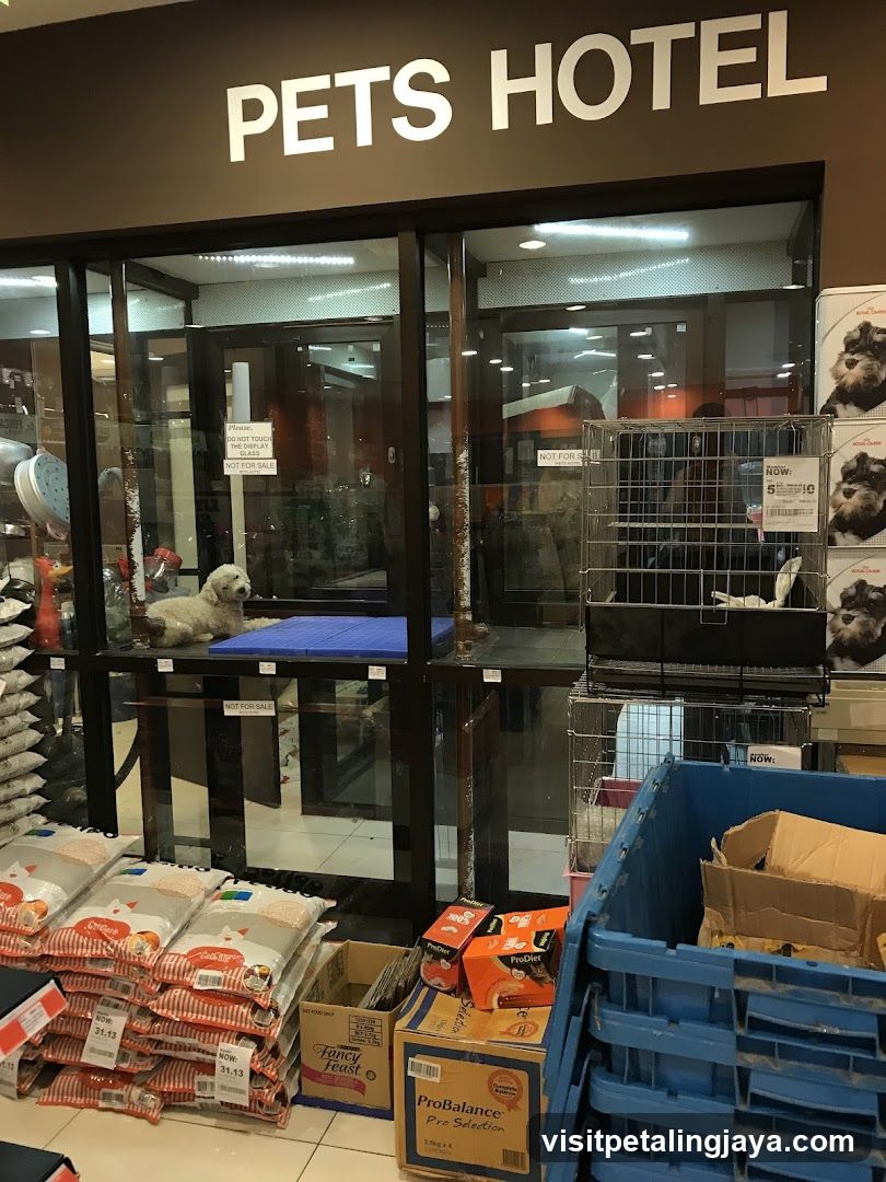Petsmore Nu Empire Shopping Gallery