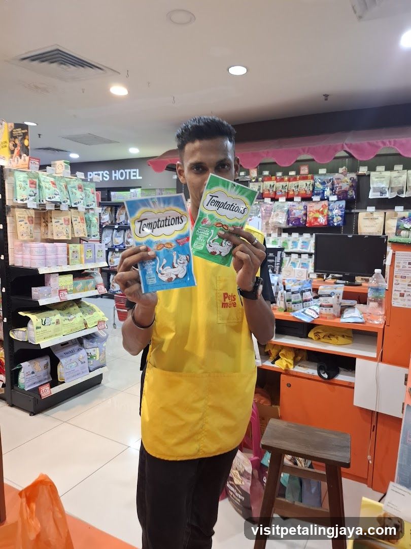 Staff Member Holding Cat Treats