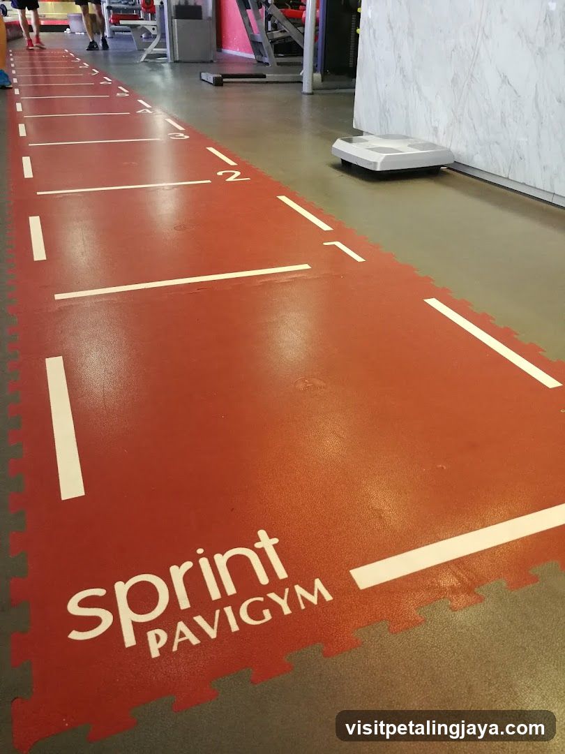 Gym Floor Markings