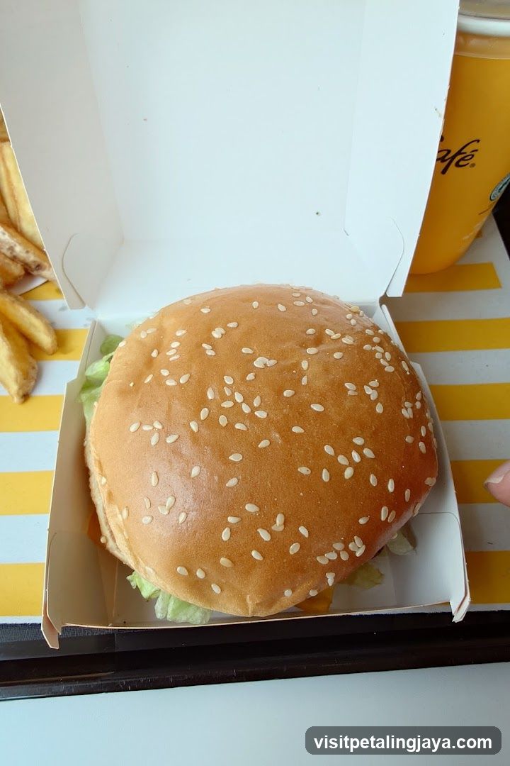 Burger and Fries