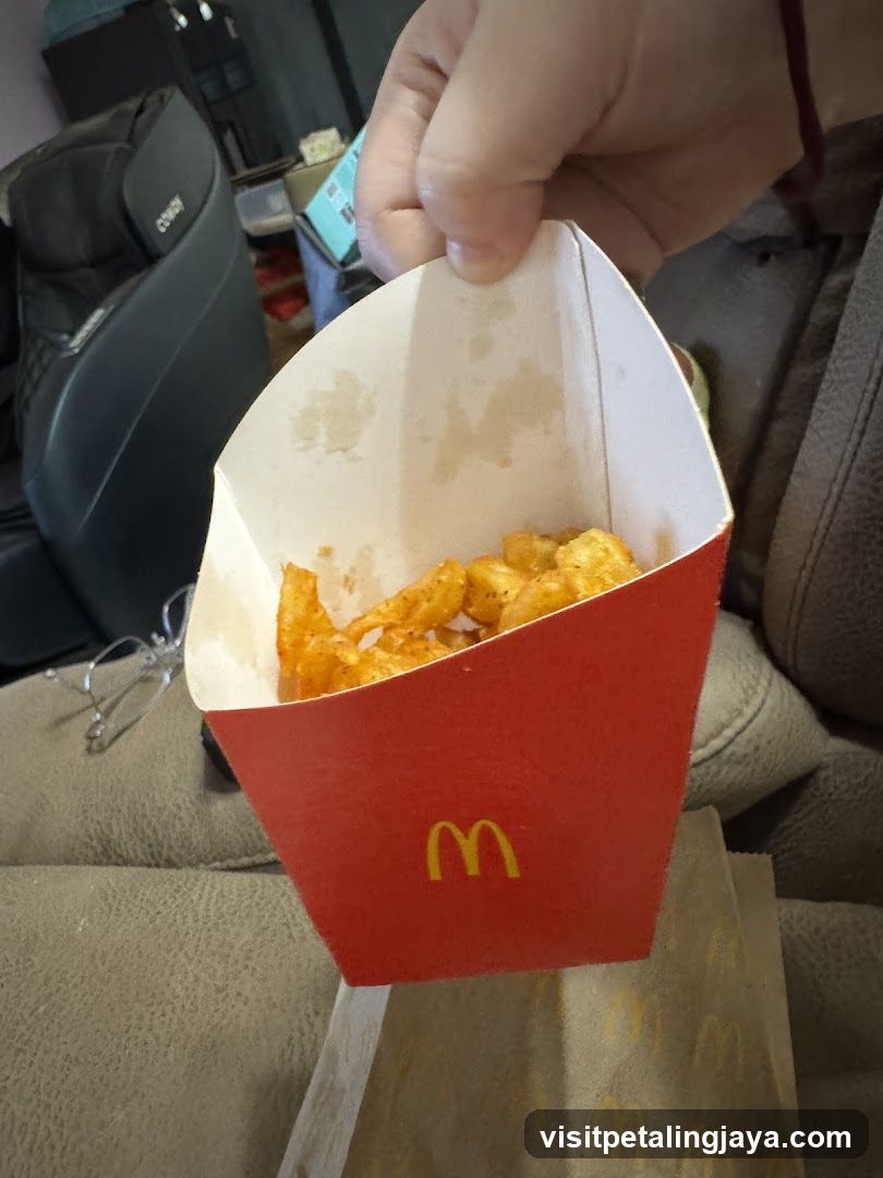 French Fries in a McDonald's Container