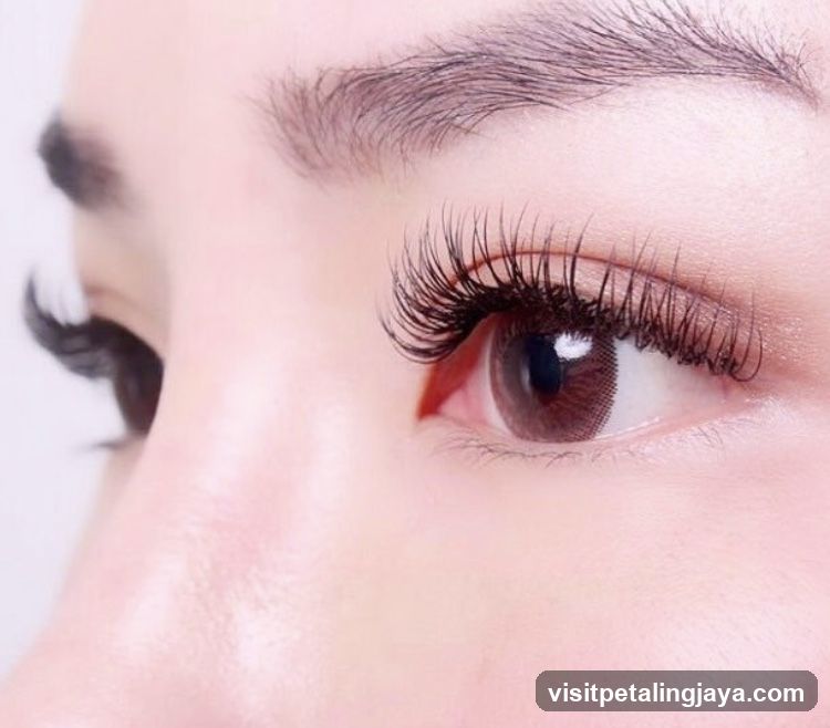 Close-up of an eye with dramatic eyelashes