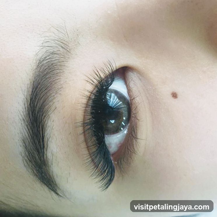 Close-up of an eye with dramatic false eyelashes