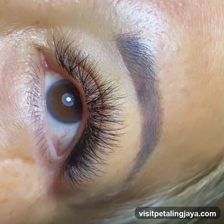 Close-up of an eye with dramatic eyelash extensions
