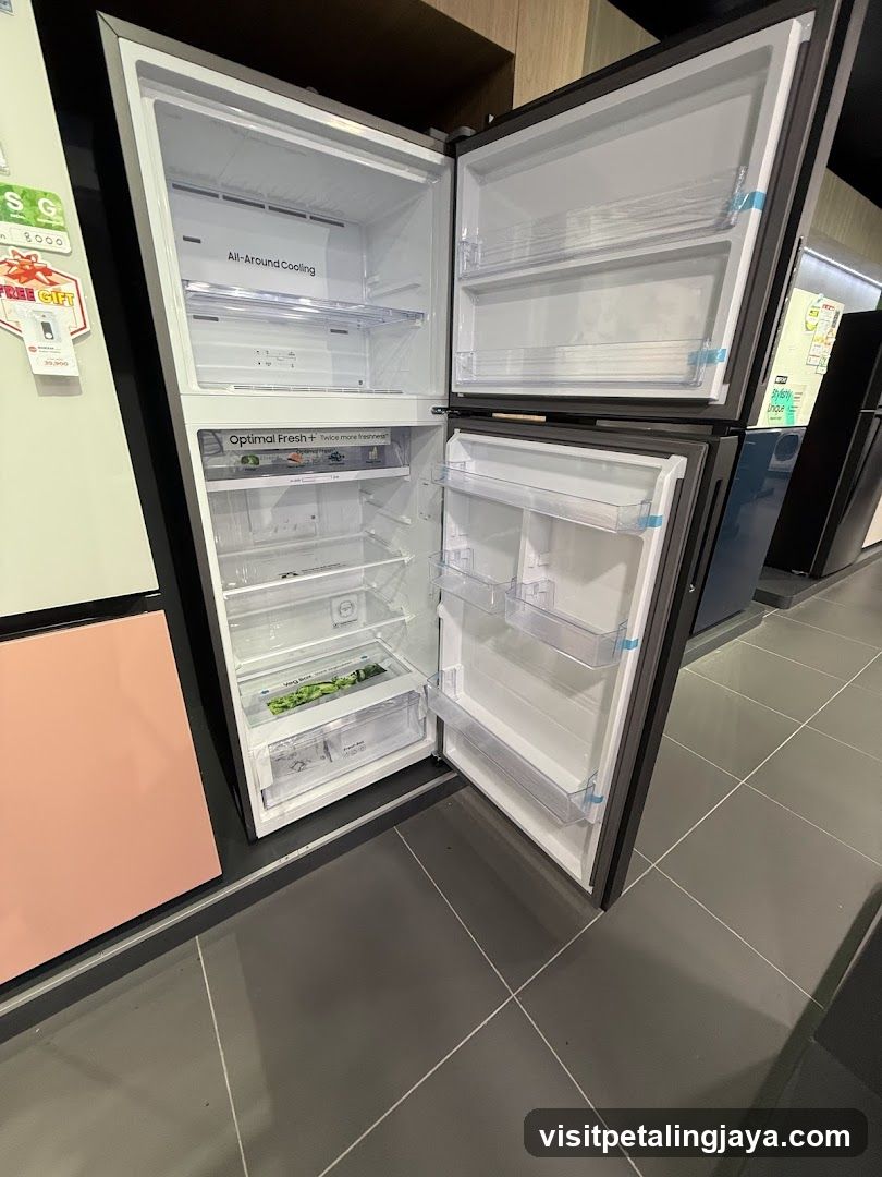 Refrigerator Interior