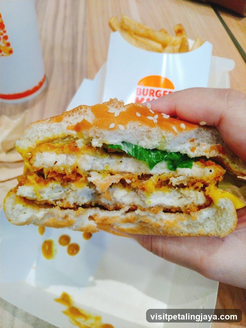 Burger and Fries