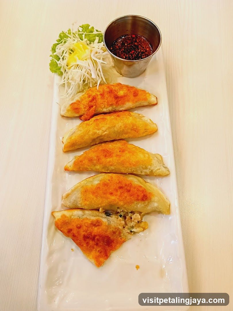 Pan-fried dumplings with dipping sauce