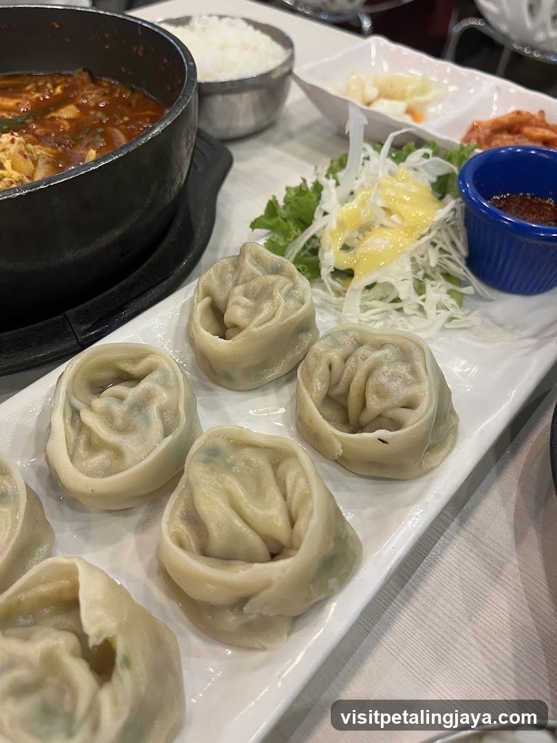 Korean Dumplings with Stew and Rice