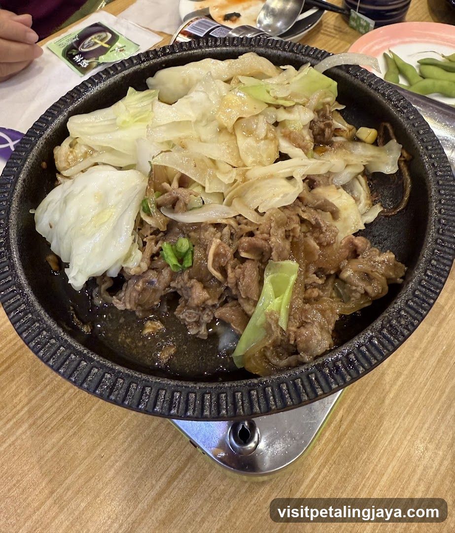 Sizzling Beef and Cabbage