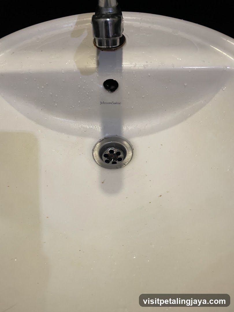 Sink Basin