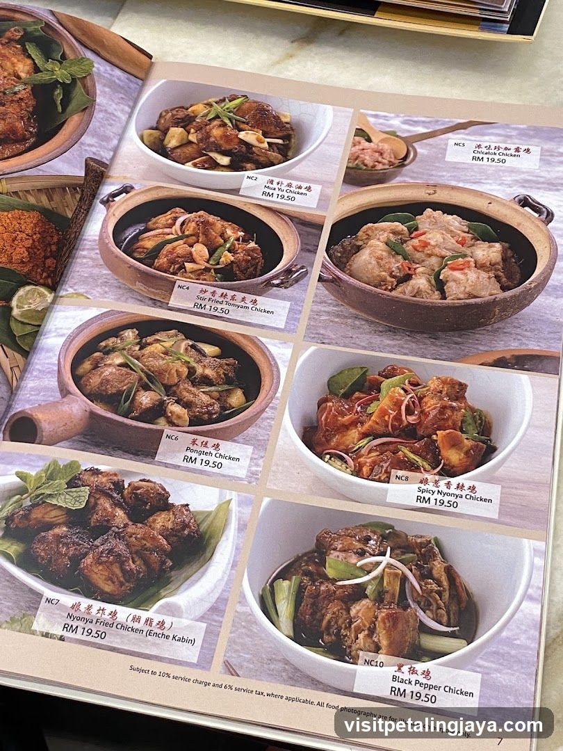 Chicken Dishes