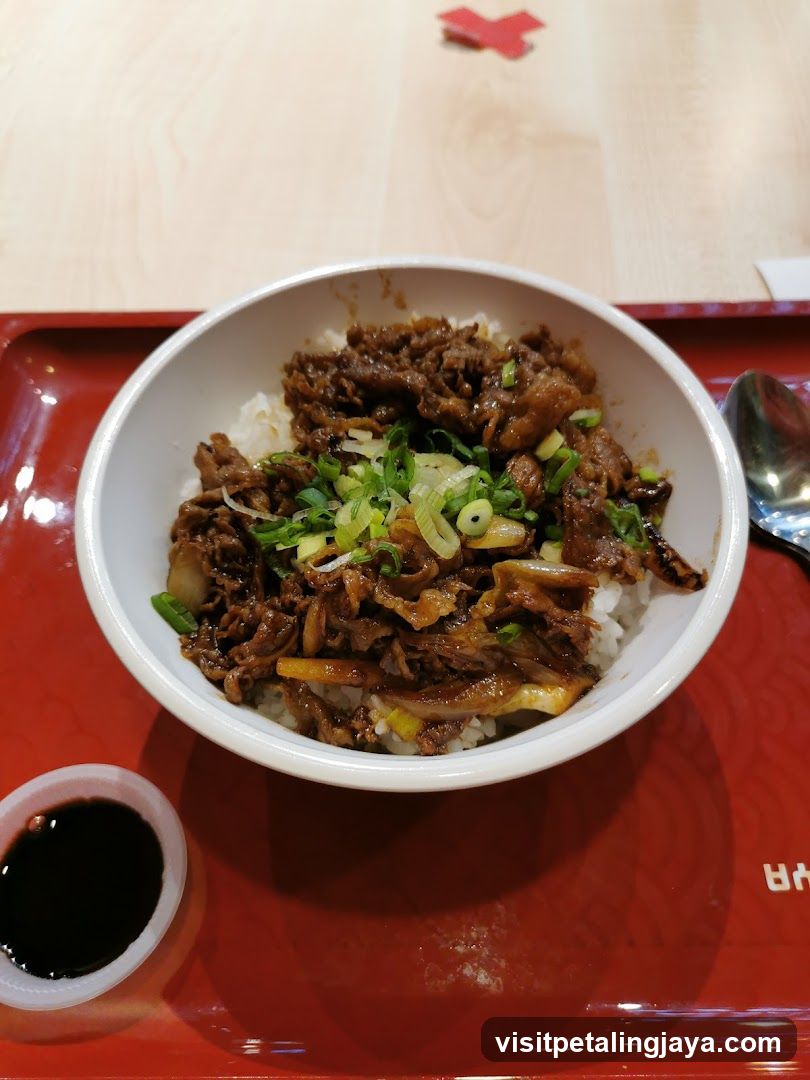 Beef and Rice Bowl