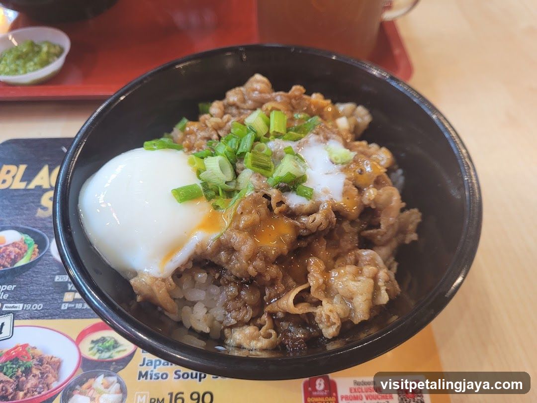 Beef Bowl with Egg