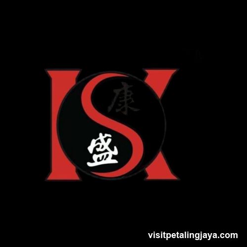 Logo with Chinese characters
