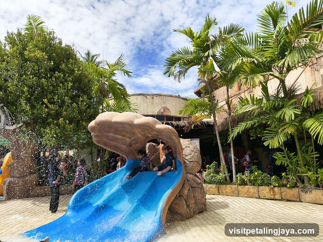 Water Slide Fun