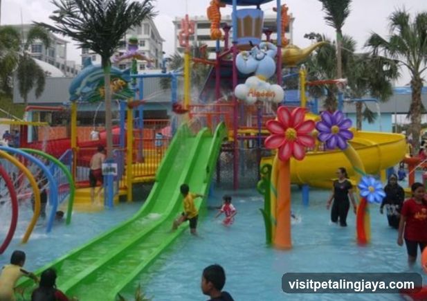 Water Park Slides