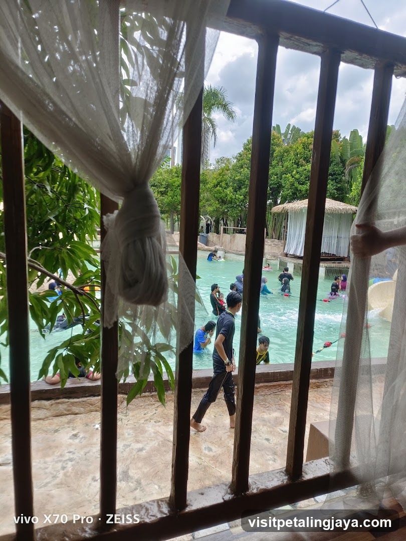 People swimming in a pool