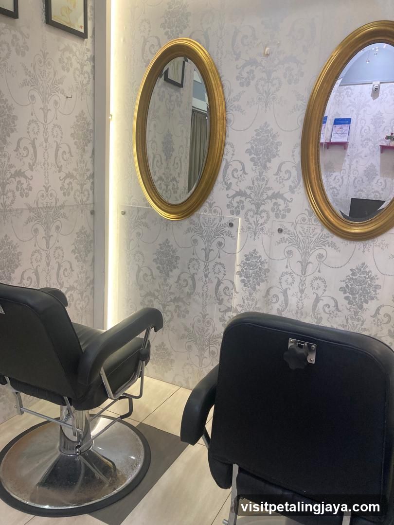 Salon Chairs and Mirrors