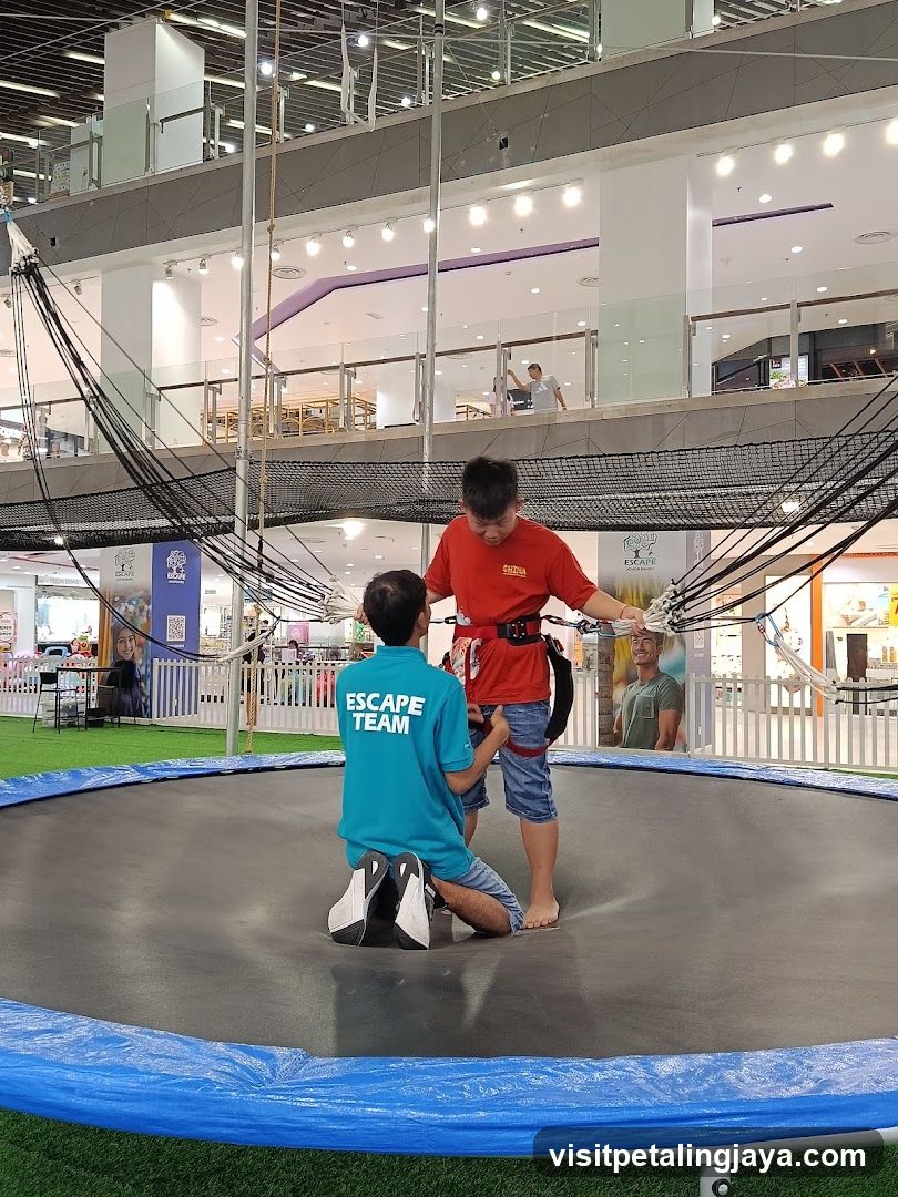 Trampoline Activity