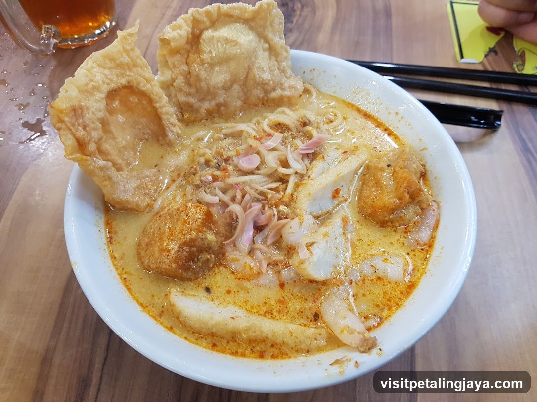 Laksa Noodle Soup