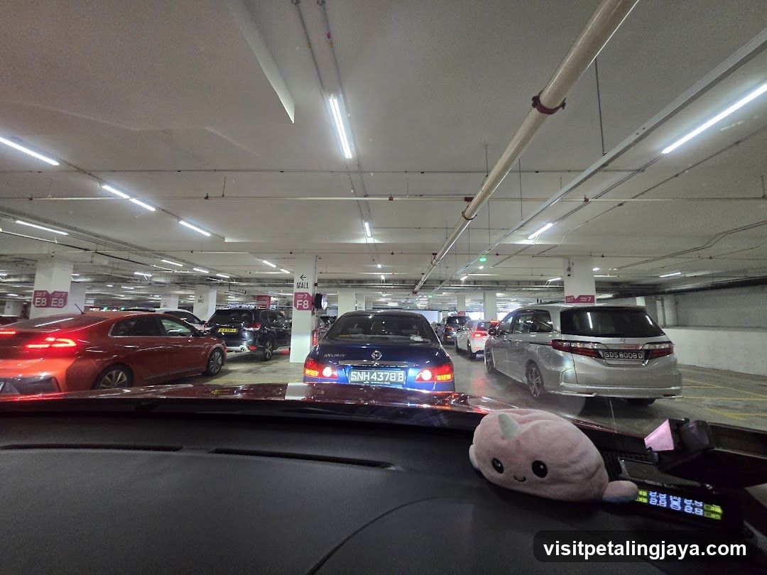 Cars in a Parking Garage