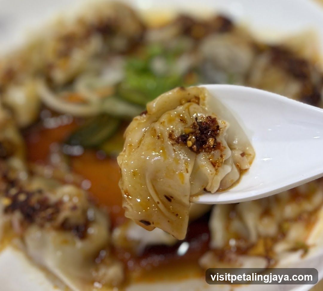 Spicy Wontons