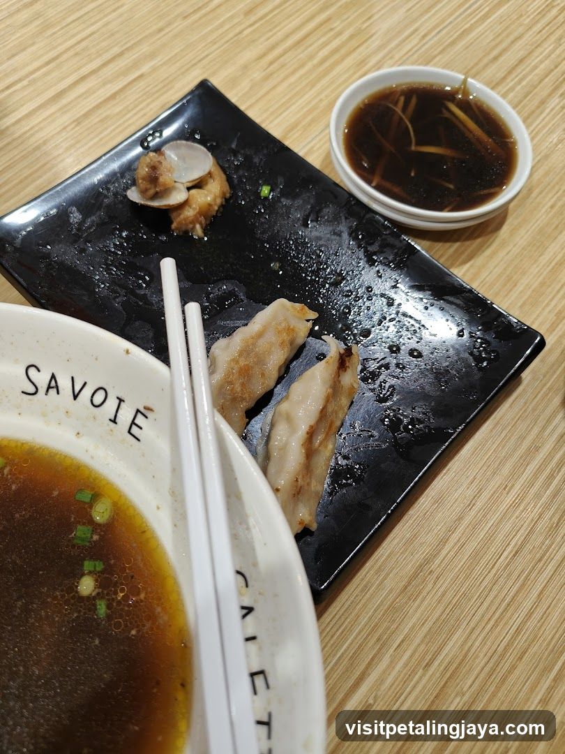 Leftover Dumplings and Broth