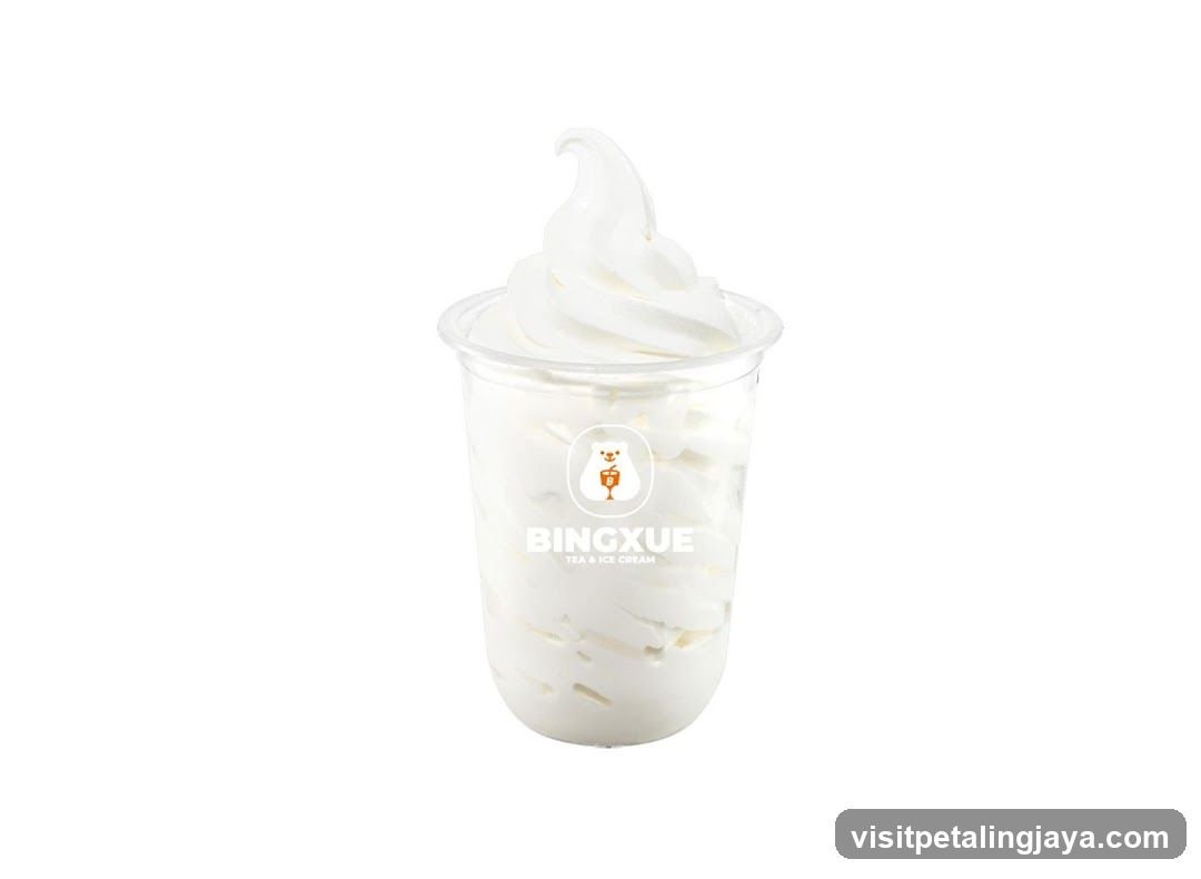 Soft Serve Ice Cream Cup