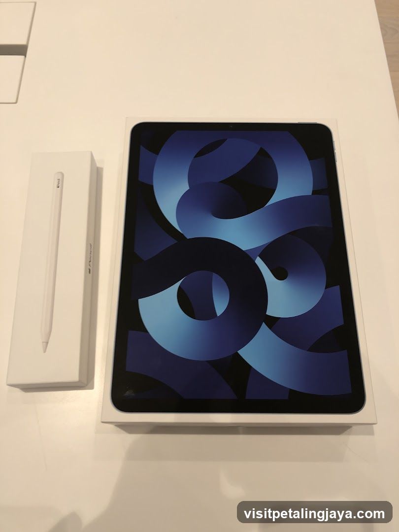 Apple iPad Air and Apple Pencil