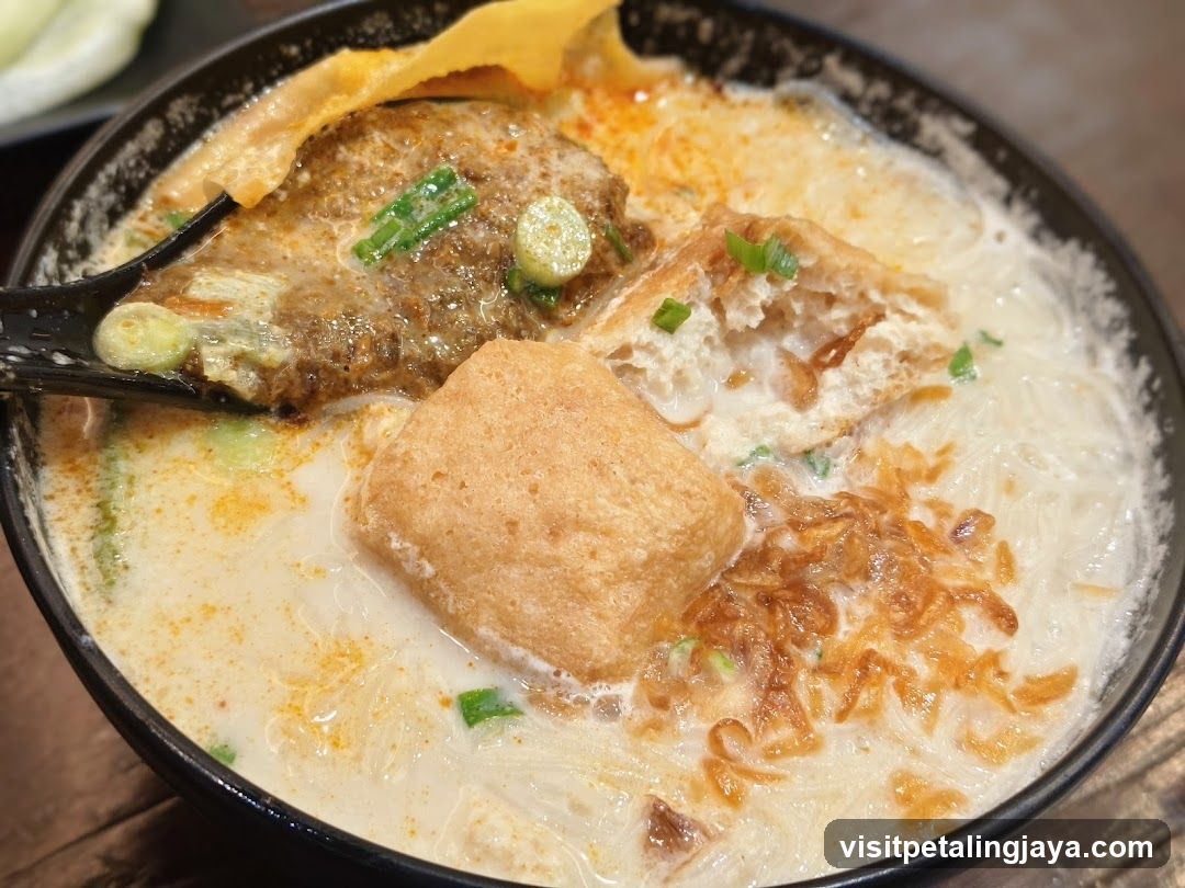 Noodle Soup with Fried Tofu and Meat Patty