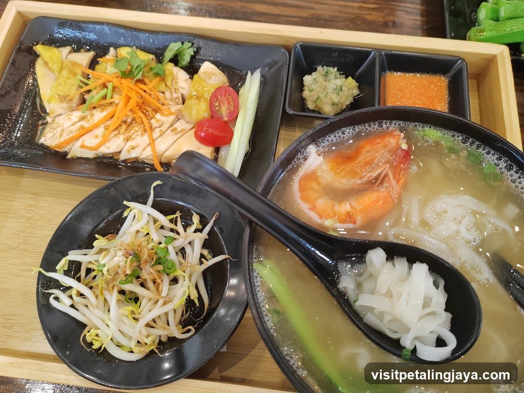 Hainanese Chicken Rice and Noodle Soup