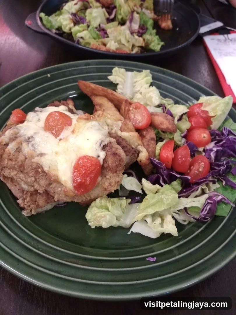 Fried Chicken with Salad