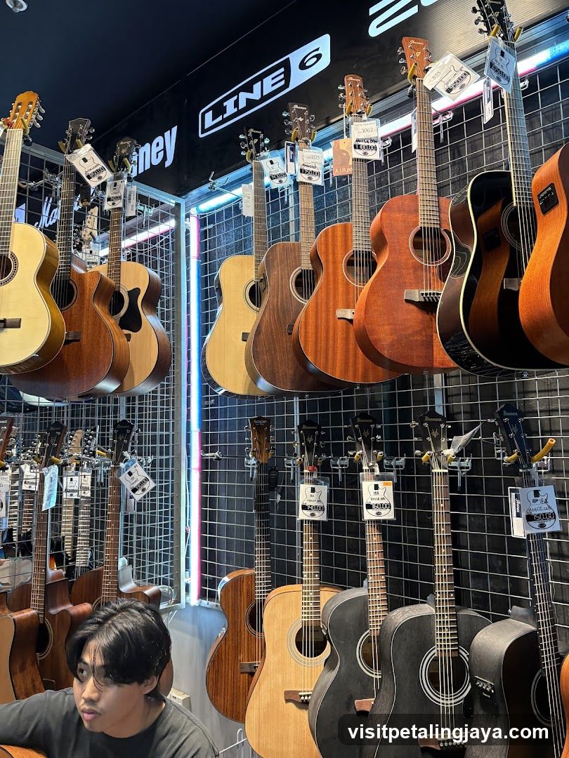 Guitars on Display