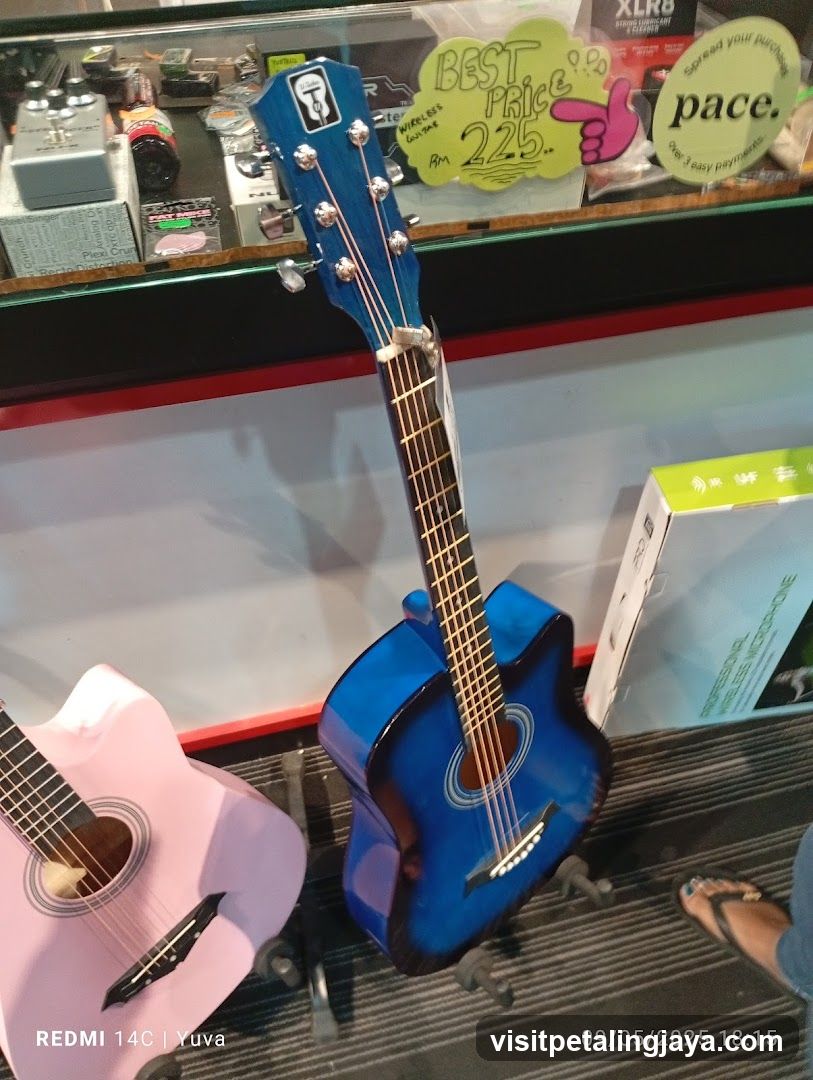 Guitars on Display