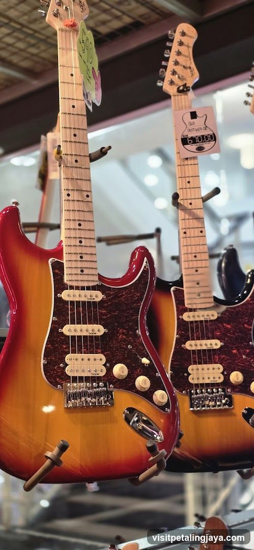 Electric Guitars