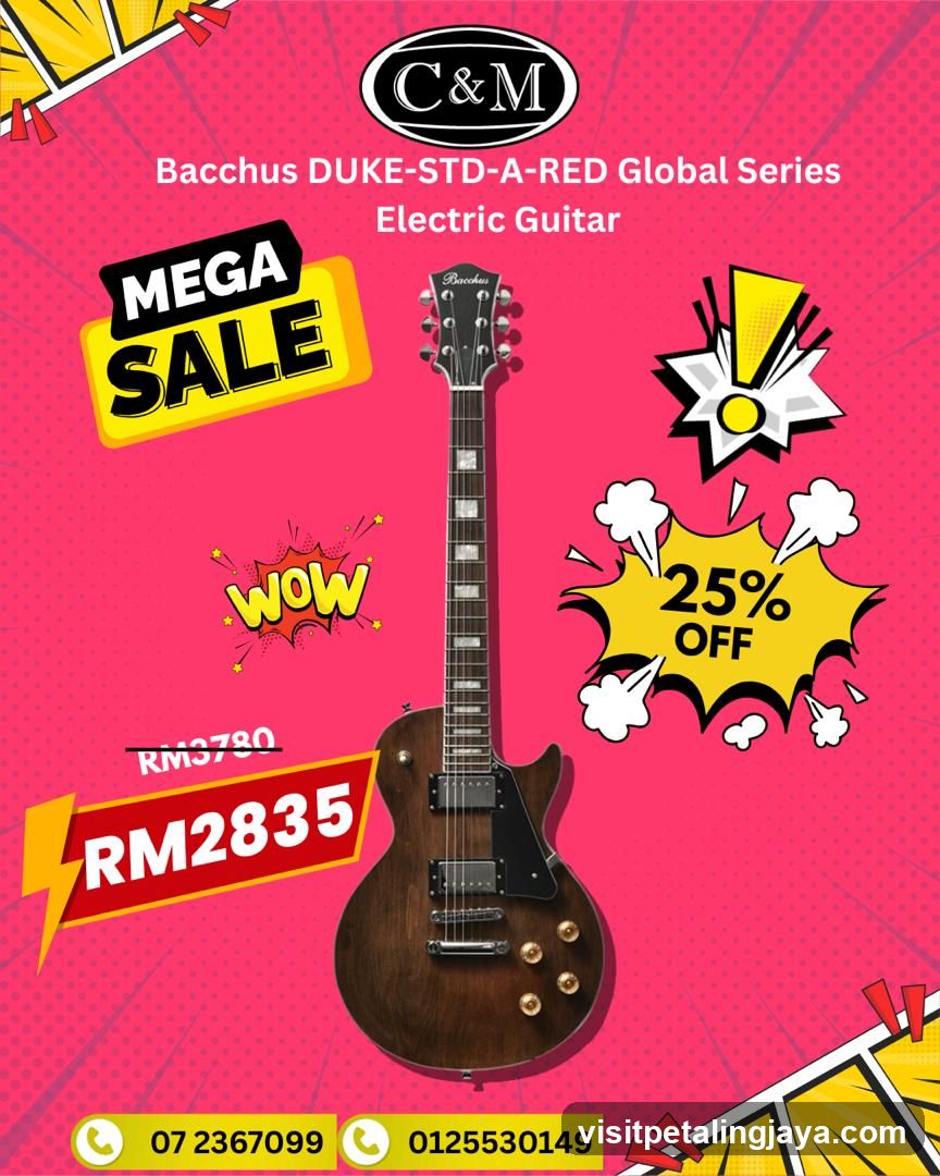 Bacchus Electric Guitar Sale