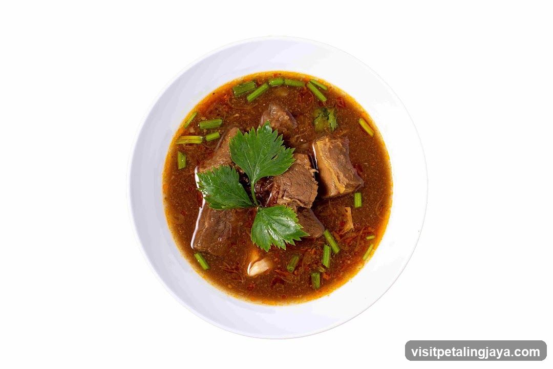 Bowl of Beef Stew