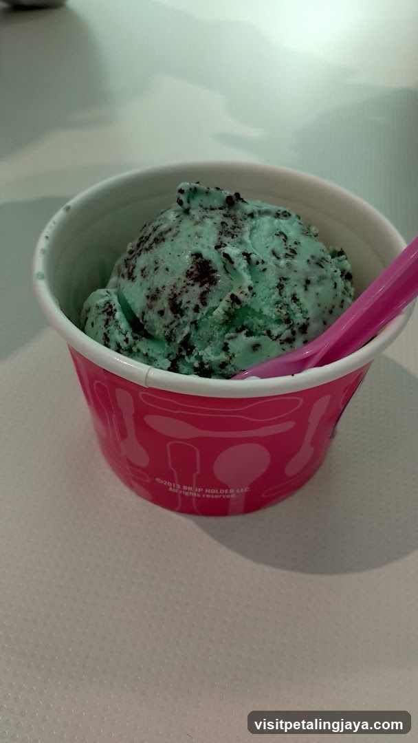 Mint Chocolate Chip Ice Cream