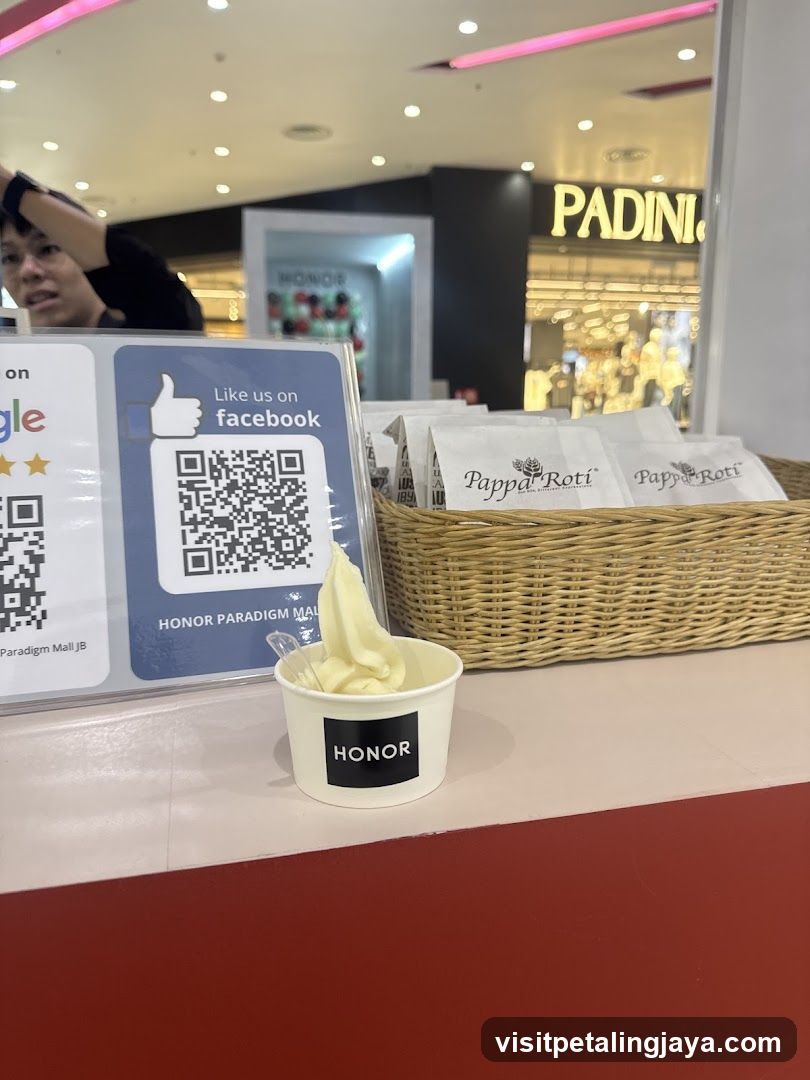 Soft Serve Ice Cream and Pappa Roti