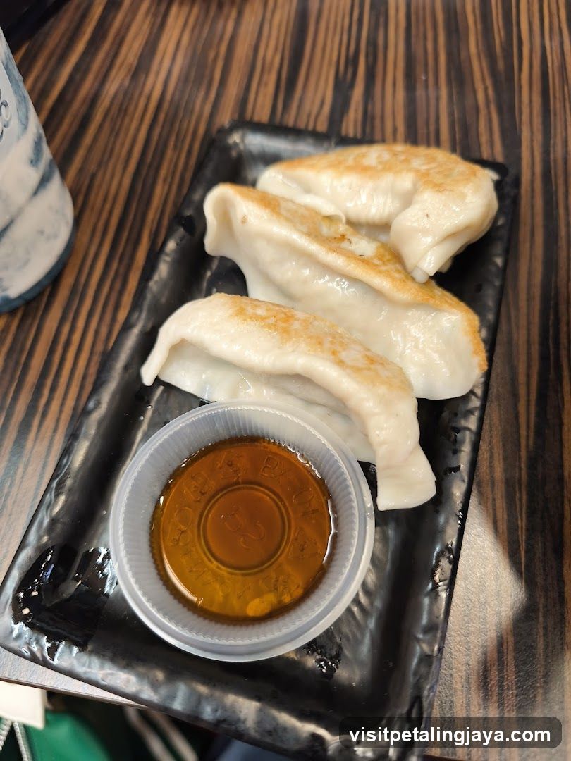 Pan-fried dumplings with dipping sauce
